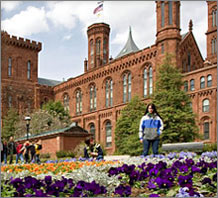 Discovery Bay Games with Smithsonian