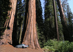 California Student Trip