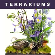 Botanical Reproductions