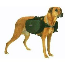 backpackdog