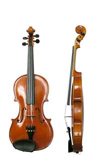 violins