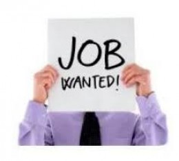 job-wanted
