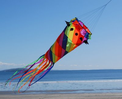 kite