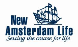 new-amsterdam