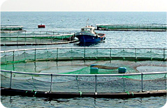 aquaculture